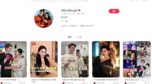 网红万字爆料视频大全最新,娱乐圈幕后真相大曝光