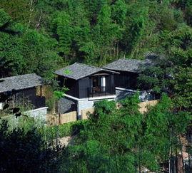 重庆民宿爆料事件最新,揭秘背后惊人真相，行业乱象引发关注